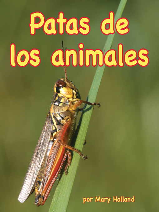 Title details for Patas de los animales by Mary Holland - Available